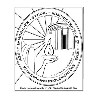 Carte professionnelle logo